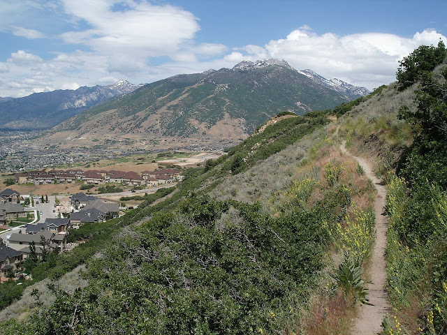 We need pictures of this section of trail. Email them to bonnevilleshorelinetrail@gmail.com.
